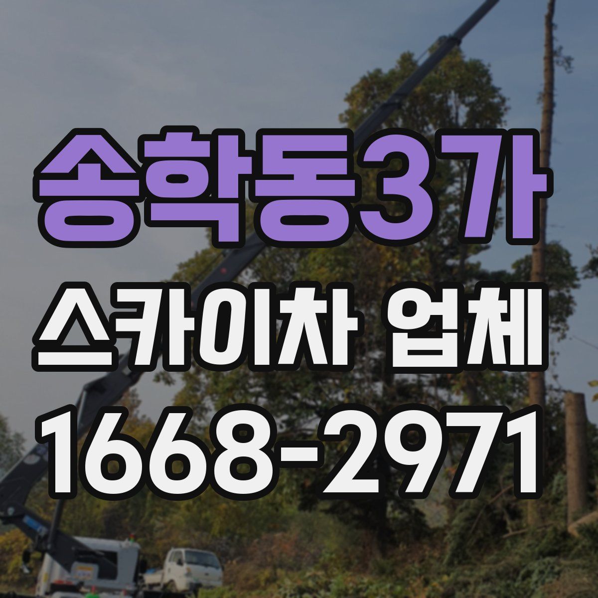 송학동3가 스카이차 업체