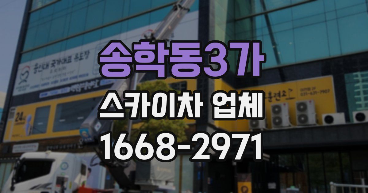 송학동3가 스카이차 업체