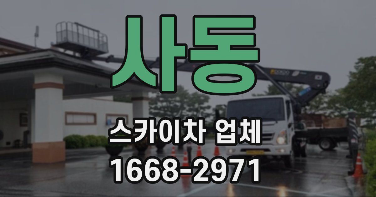 사동 스카이차 업체