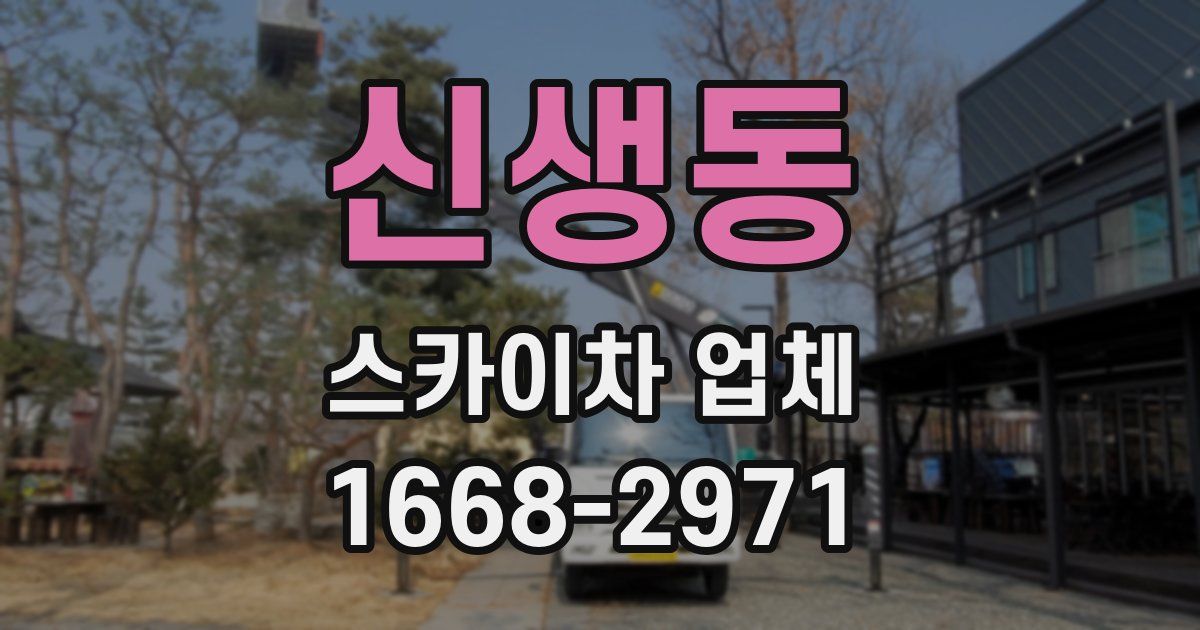 신생동 스카이차 업체
