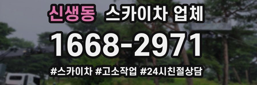 신생동 스카이차 업체