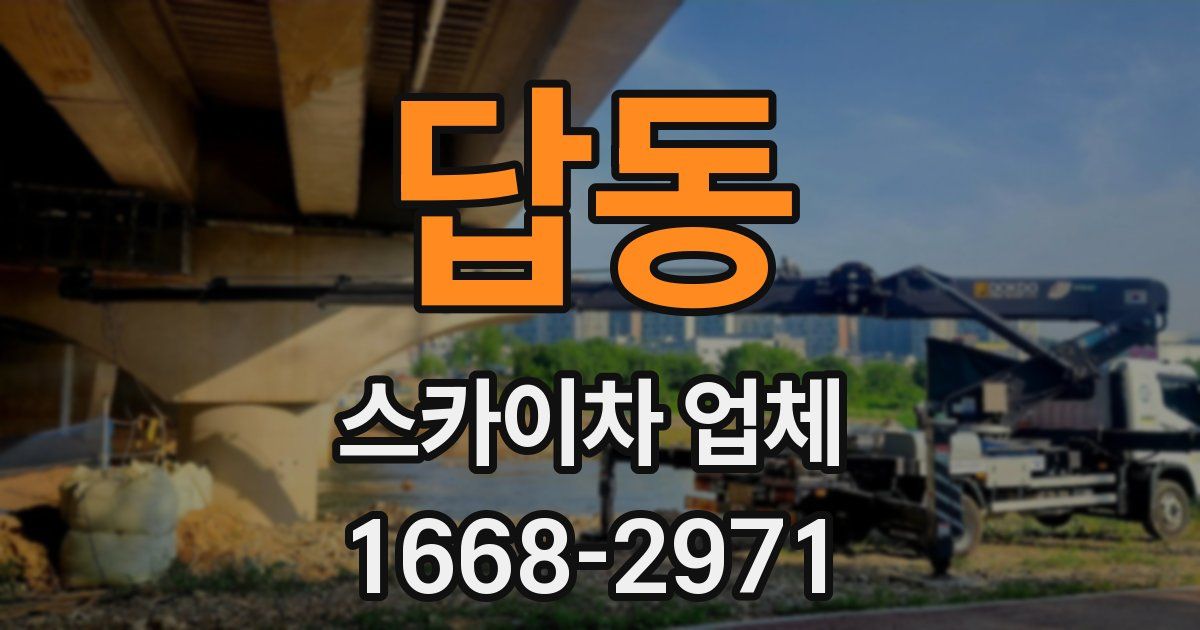 답동 스카이차 업체