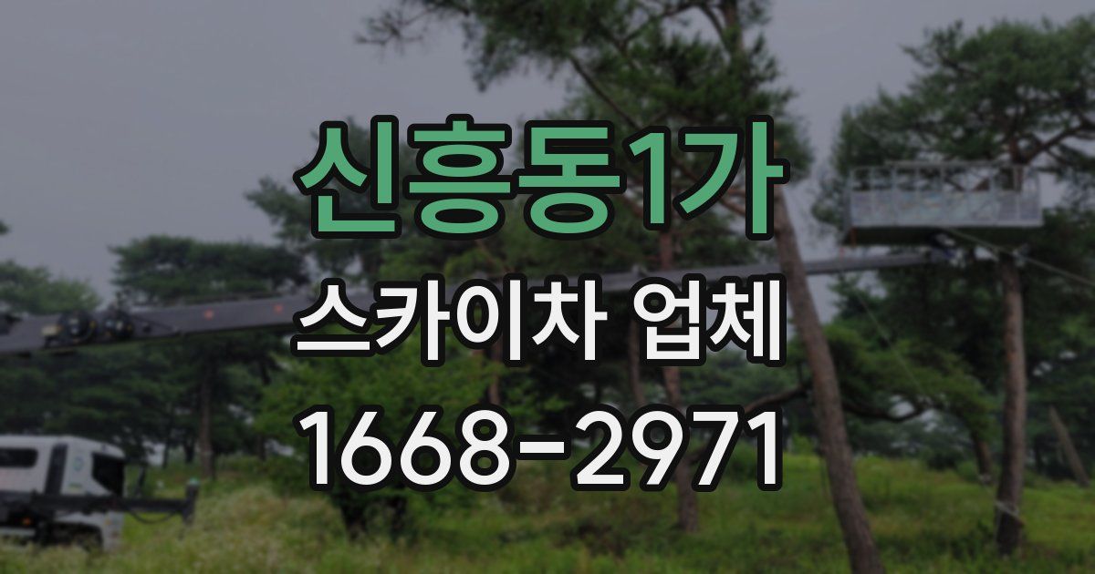 신흥동1가 스카이차 업체