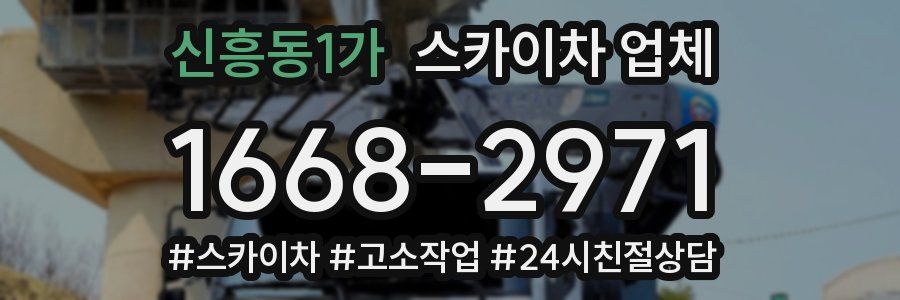 신흥동1가 스카이차 업체