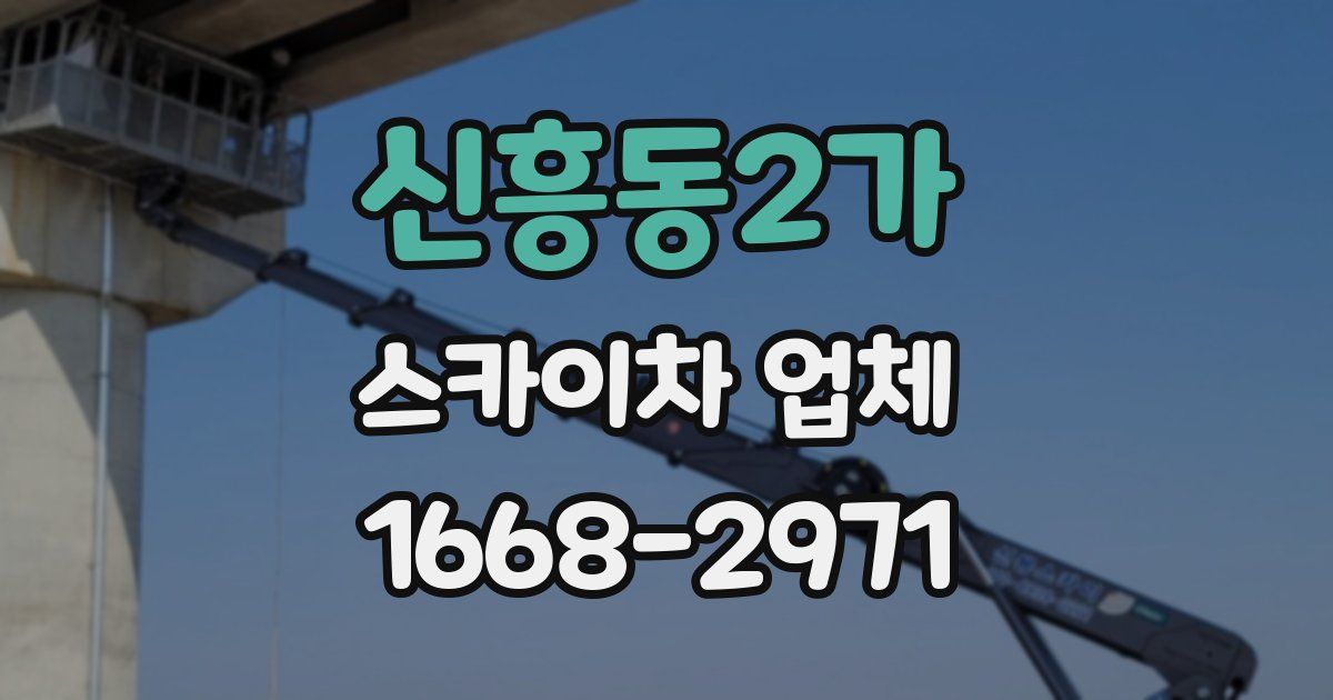 신흥동2가 스카이차 업체