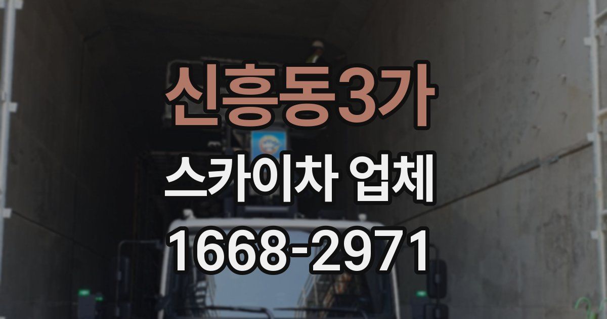 신흥동3가 스카이차 업체