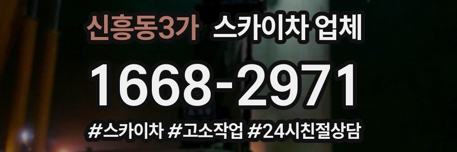 신흥동3가 스카이차 업체