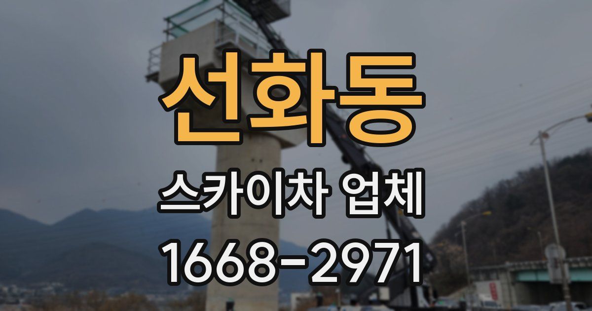선화동 스카이차 업체