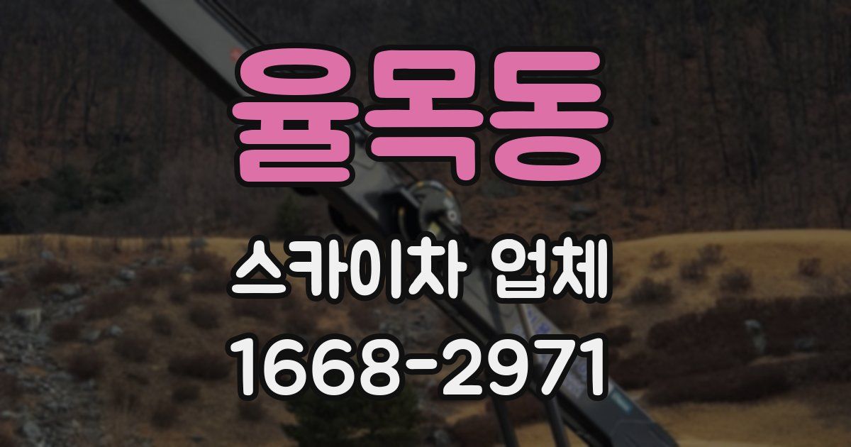 율목동 스카이차 업체