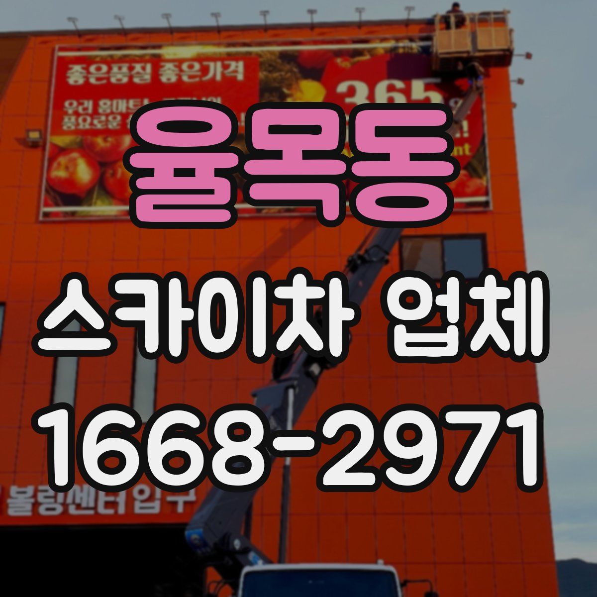 율목동 스카이차 업체