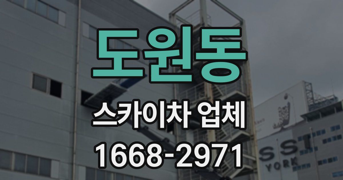 도원동 스카이차 업체