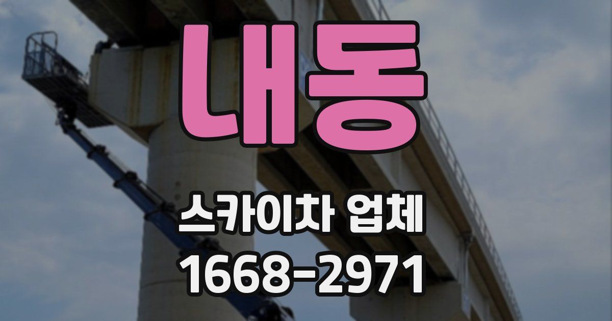 내동 스카이차 업체