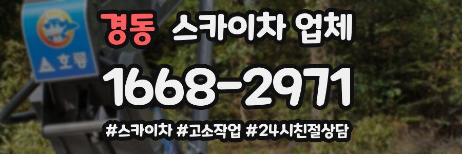 경동 스카이차 업체