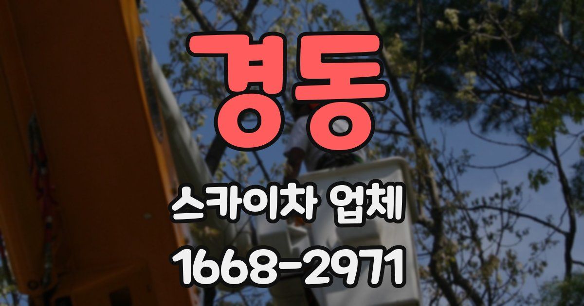 경동 스카이차 업체