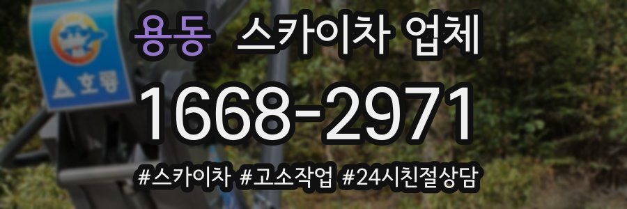 용동 스카이차 업체
