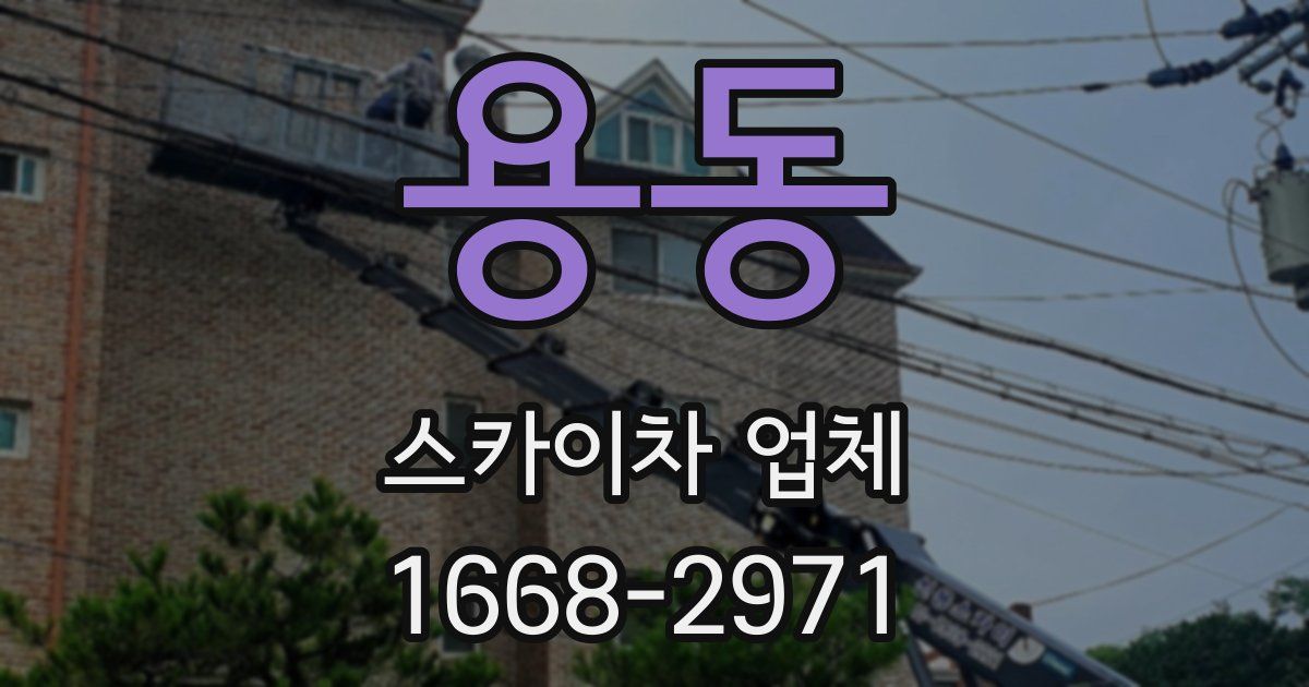 용동 스카이차 업체