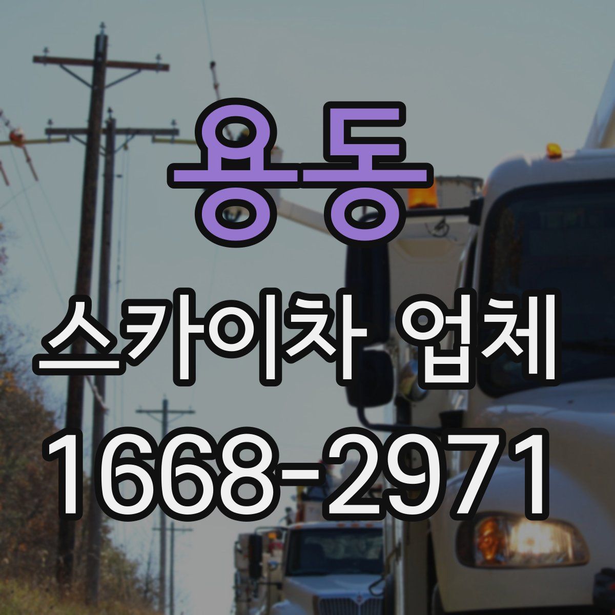 용동 스카이차 업체