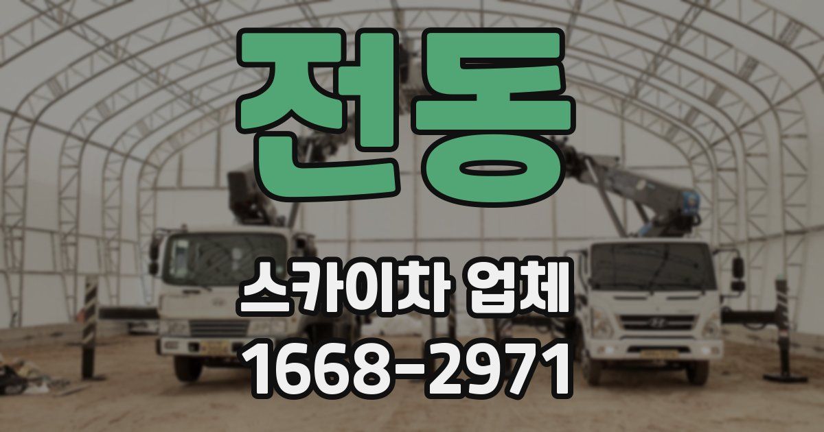 전동 스카이차 업체