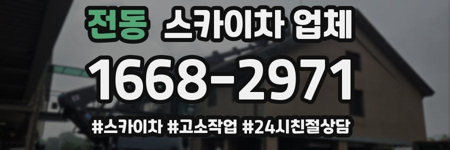전동 스카이차 업체