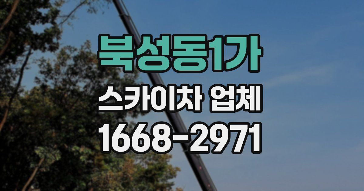 북성동1가 스카이차 업체