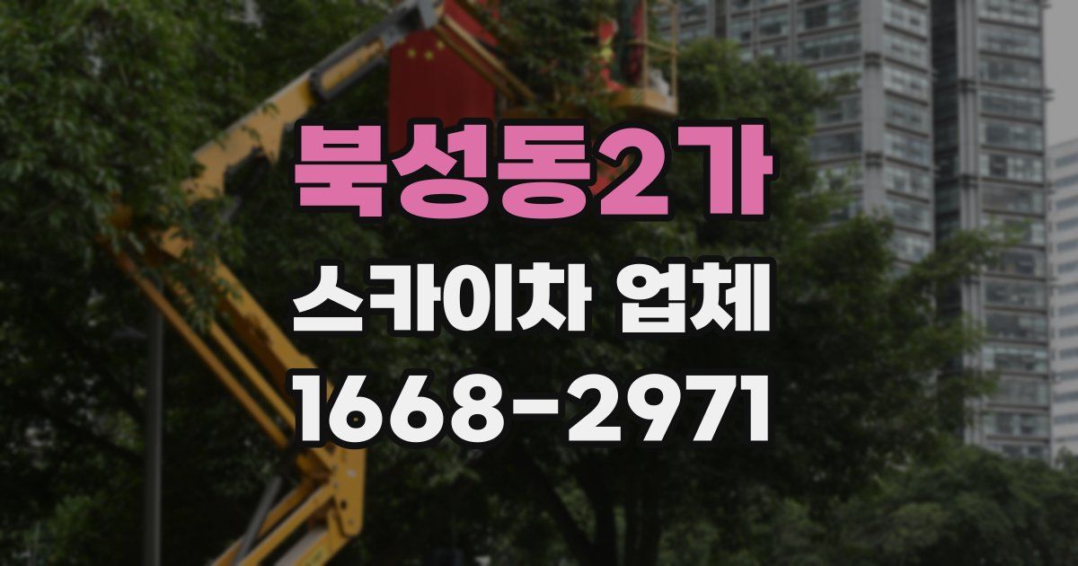 북성동2가 스카이차 업체
