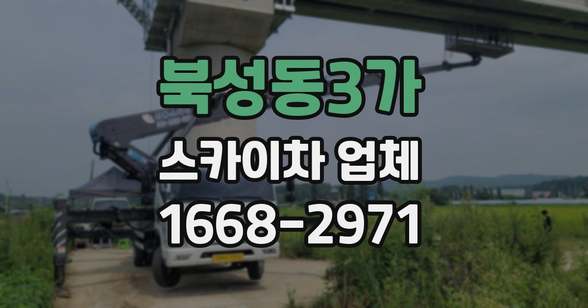 북성동3가 스카이차 업체
