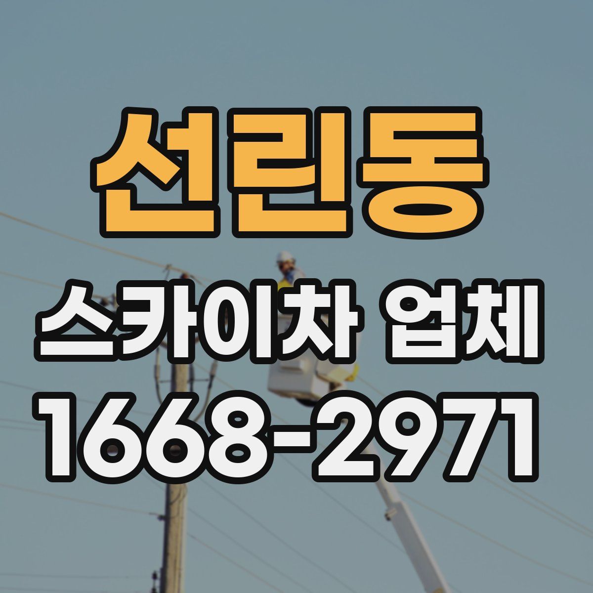 선린동 스카이차 업체