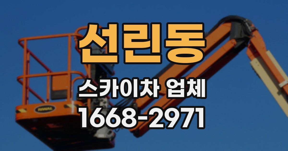 선린동 스카이차 업체