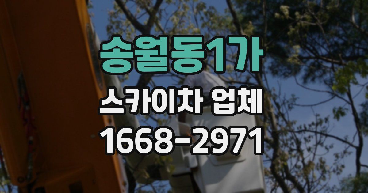 송월동1가 스카이차 업체