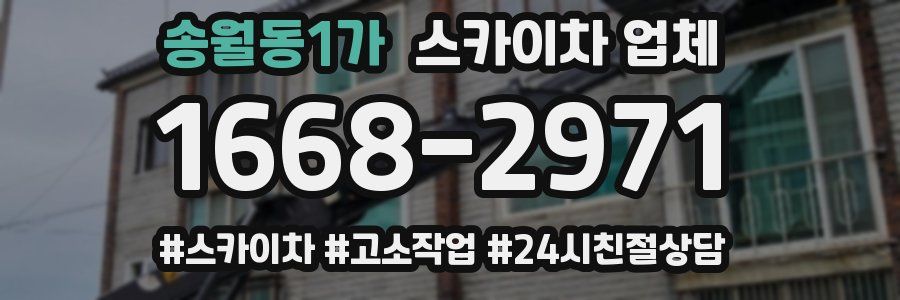 송월동1가 스카이차 업체