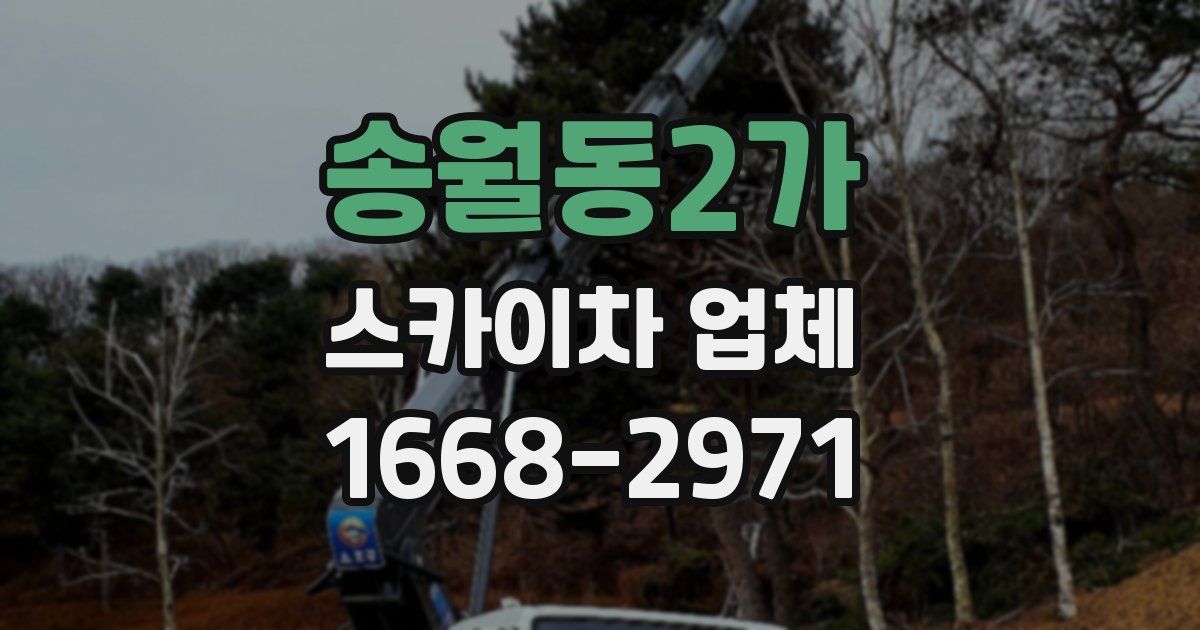 송월동2가 스카이차 업체