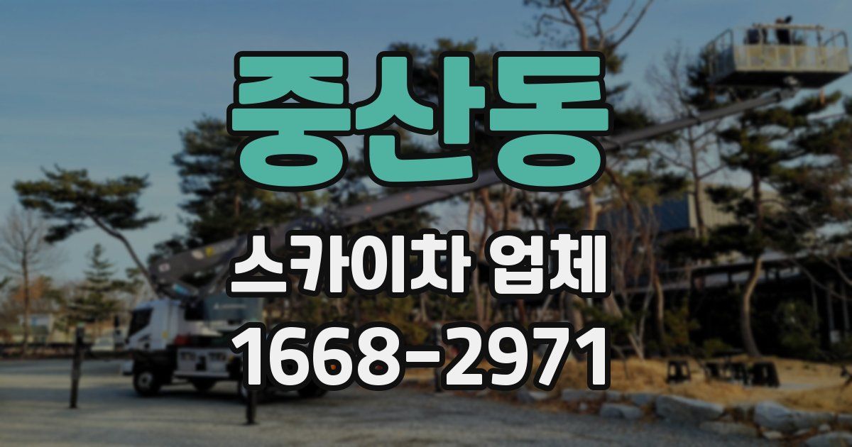 중산동 스카이차 업체