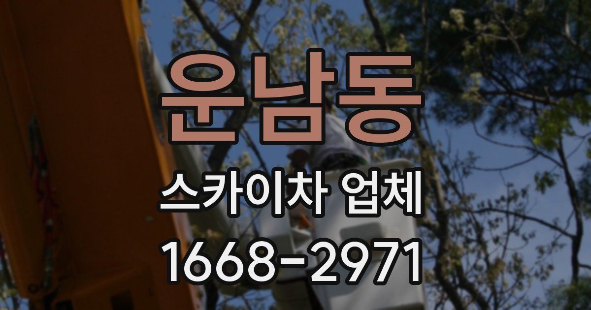 운남동 스카이차 업체