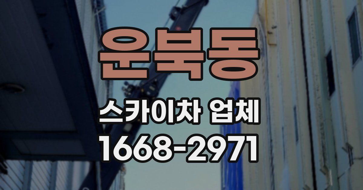 운북동 스카이차 업체