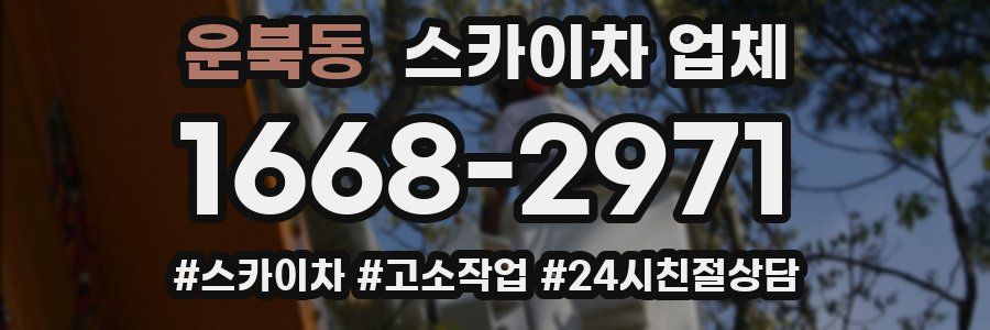 운북동 스카이차 업체