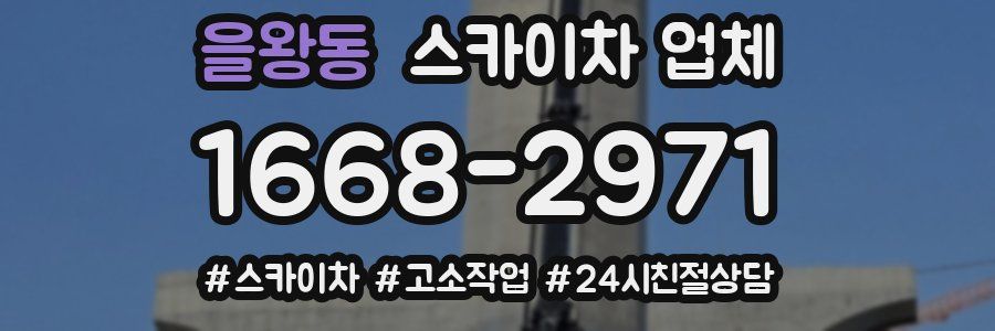 을왕동 스카이차 업체