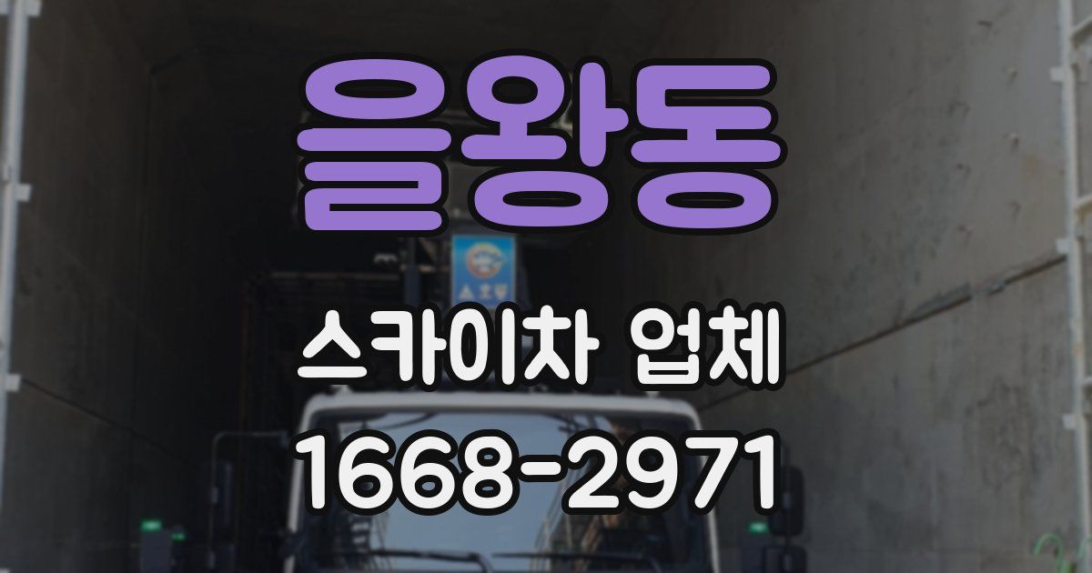 을왕동 스카이차 업체