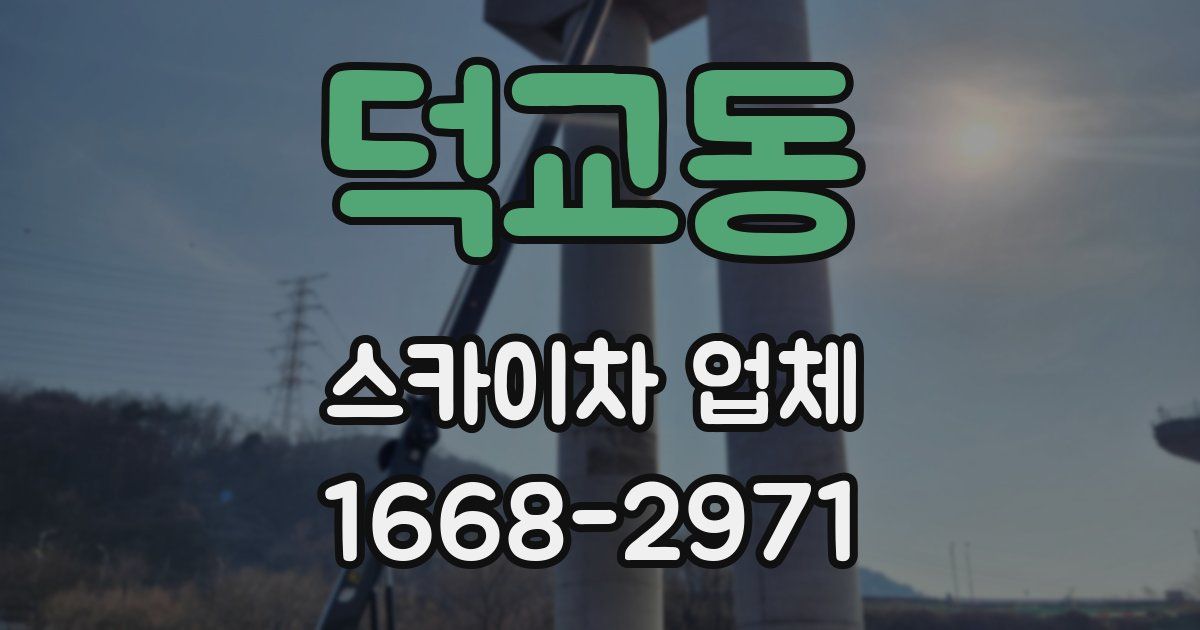 덕교동 스카이차 업체