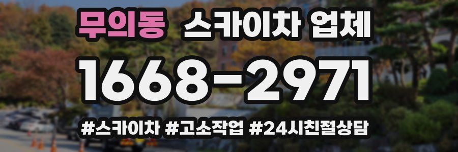 무의동 스카이차 업체