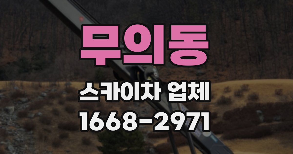 무의동 스카이차 업체