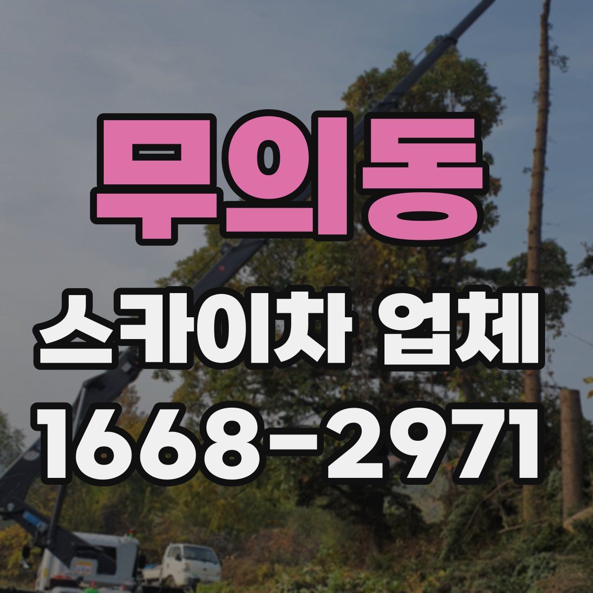 무의동 스카이차 업체