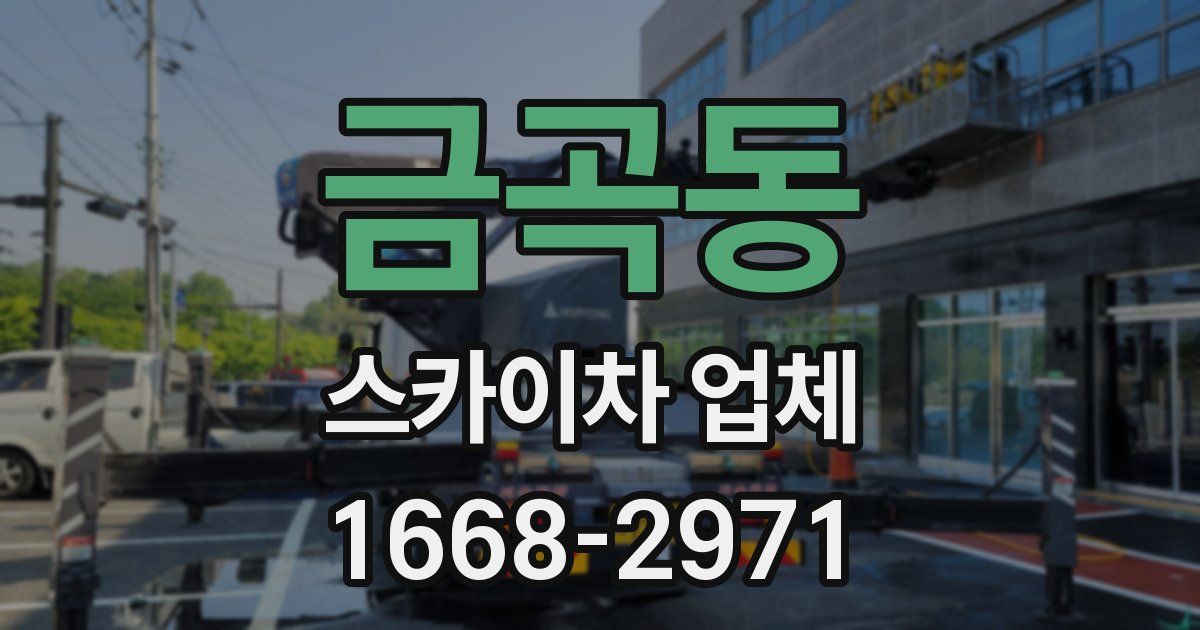 금곡동 스카이차 업체