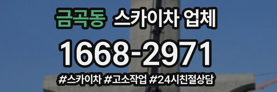 금곡동 스카이차 업체