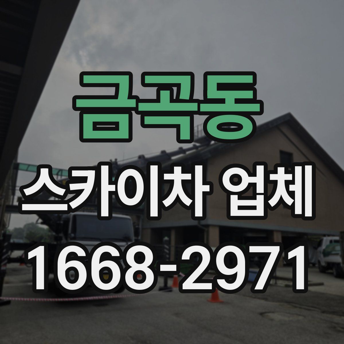 금곡동 스카이차 업체