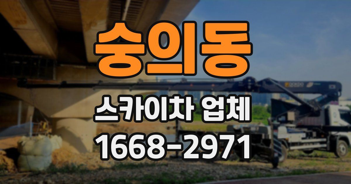 숭의동 스카이차 업체