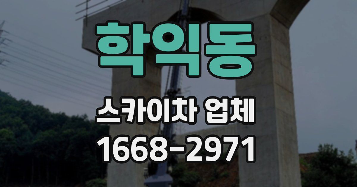 학익동 스카이차 업체
