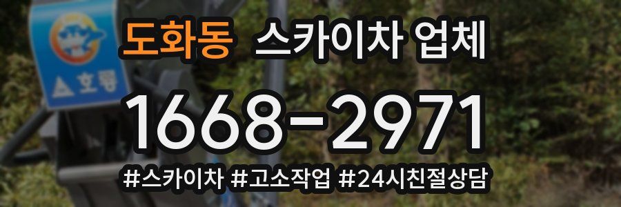 도화동 스카이차 업체