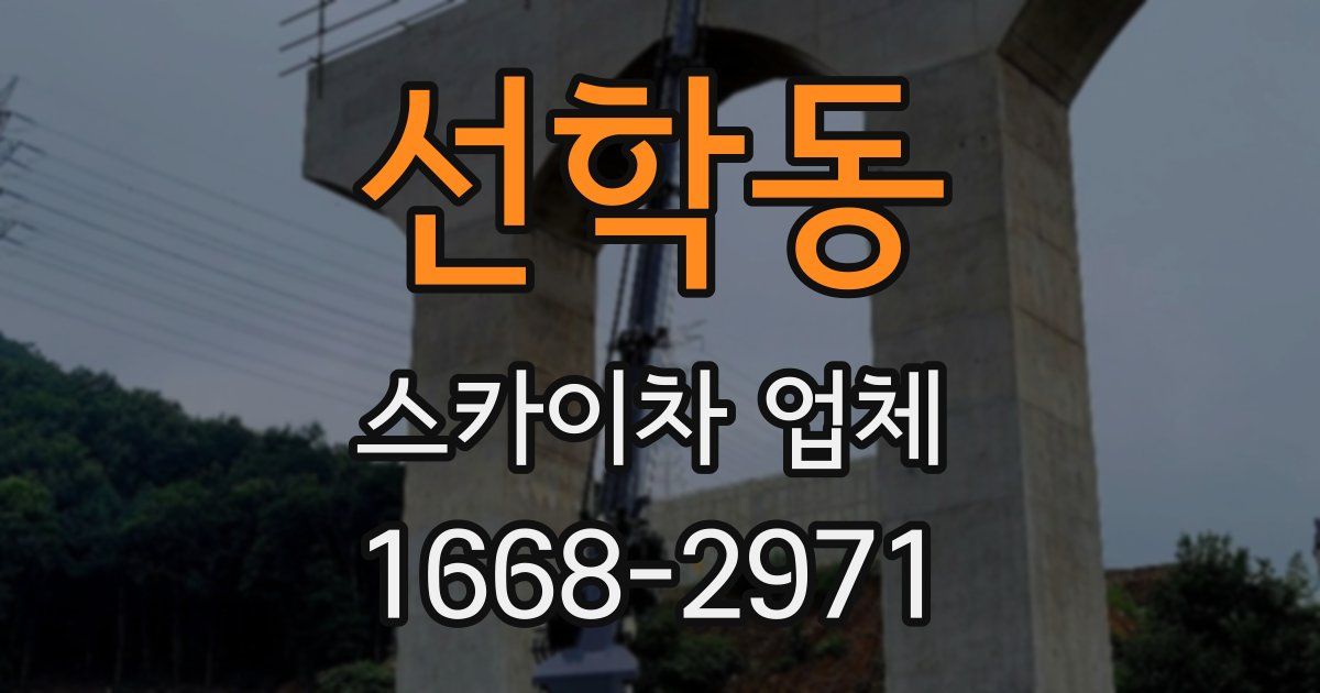 선학동 스카이차 업체