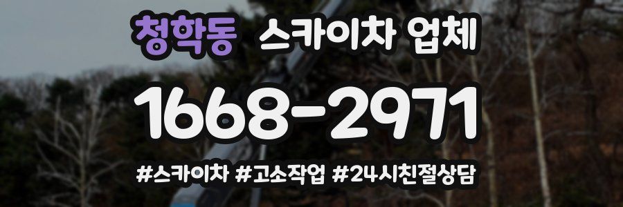 청학동 스카이차 업체