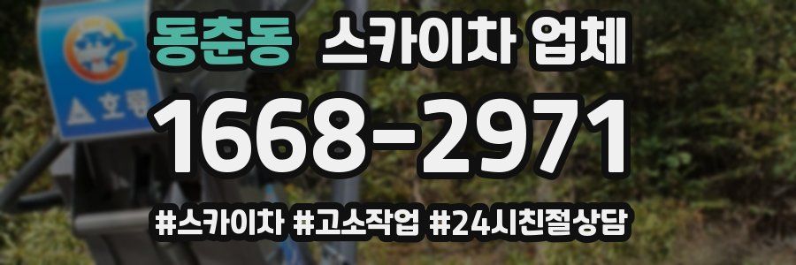 동춘동 스카이차 업체